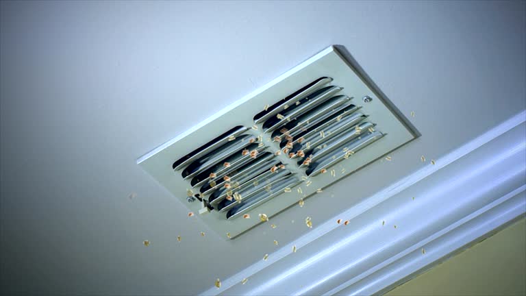 Best Home Air Vent Cleaning  in Highland, CA